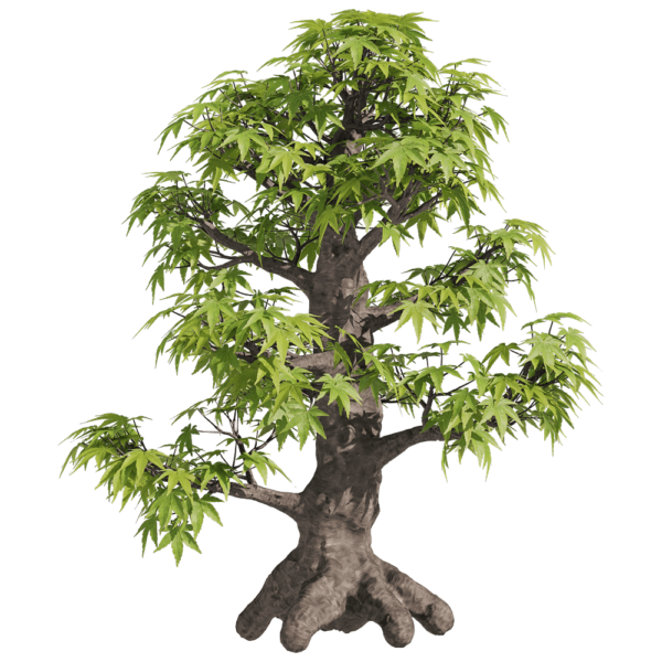 鸡爪槭树3D模型（OBJ,FBX,MAX）