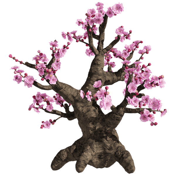 开粉色花朵的梅树3D模型（OBJ,FBX,MAX）