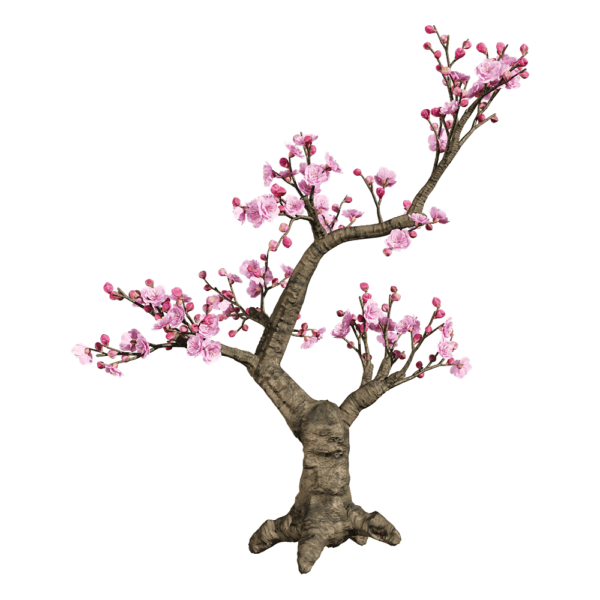 梅花树3D模型（OBJ,FBX,MAX）
