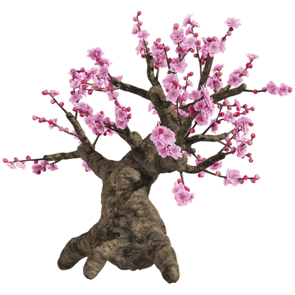梅花树3D模型（OBJ,FBX,MAX）
