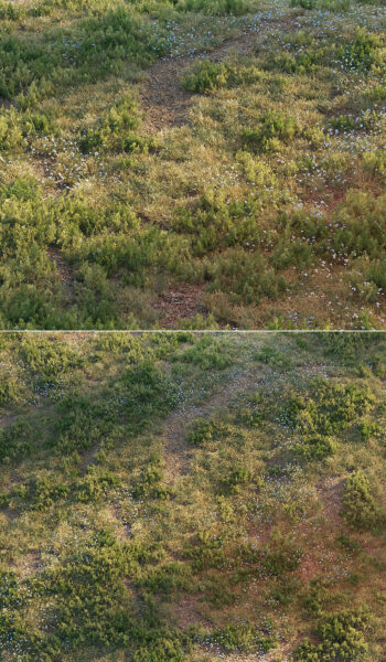 开满小花的草地3D模型（OBJ,MAX）