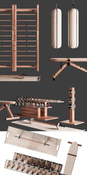 杠铃 哑铃 沙袋等PENT室内健身器材3D模型（FBX,MAX）