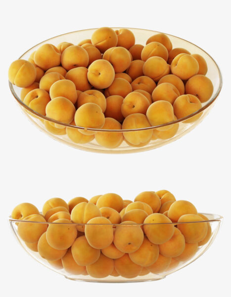 玻璃碗中的杏子3D模型（OBJ,FBX,MAX）