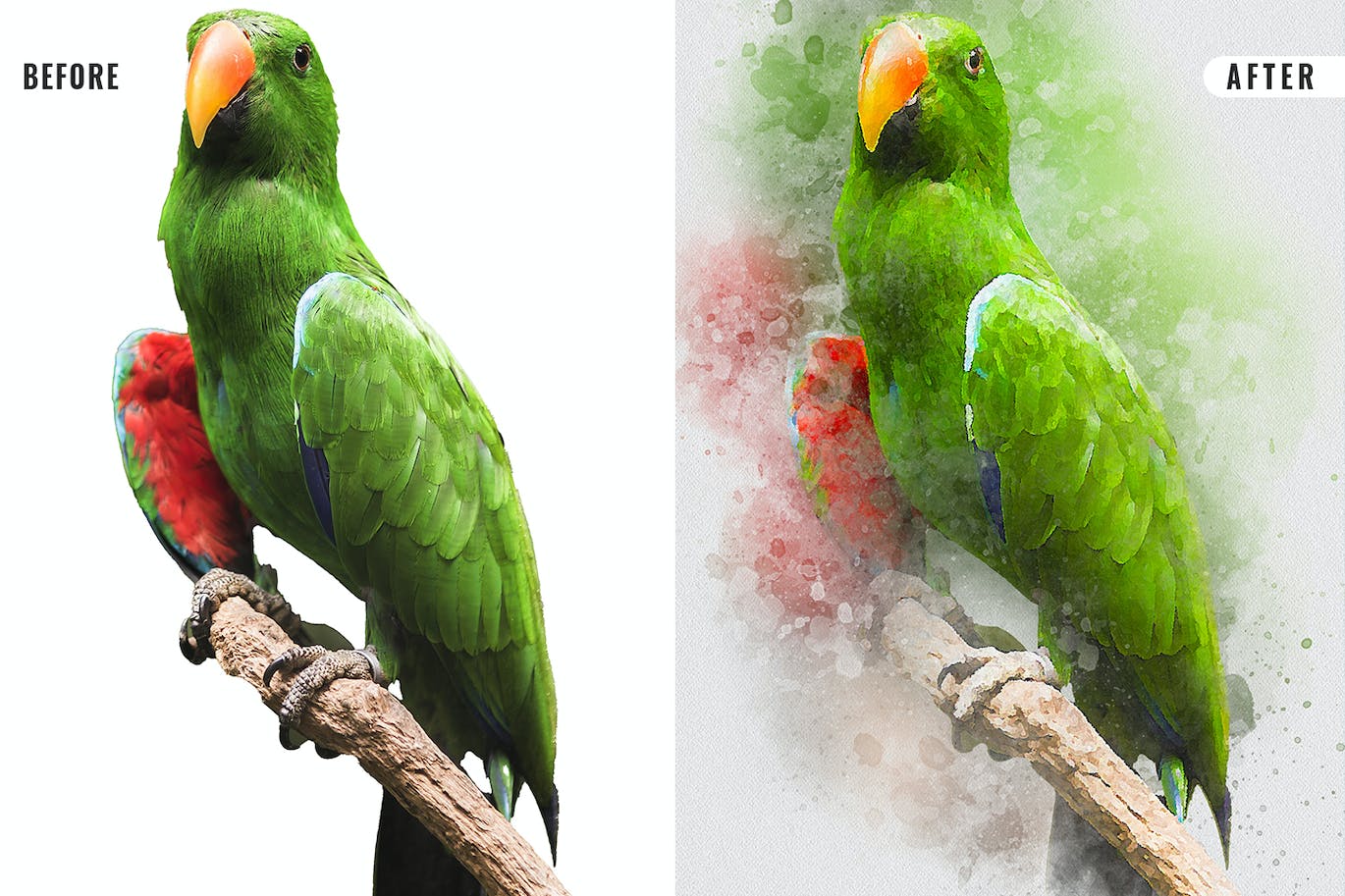 d2e52e24-36b3-4911-ae38-771516c3ebf0