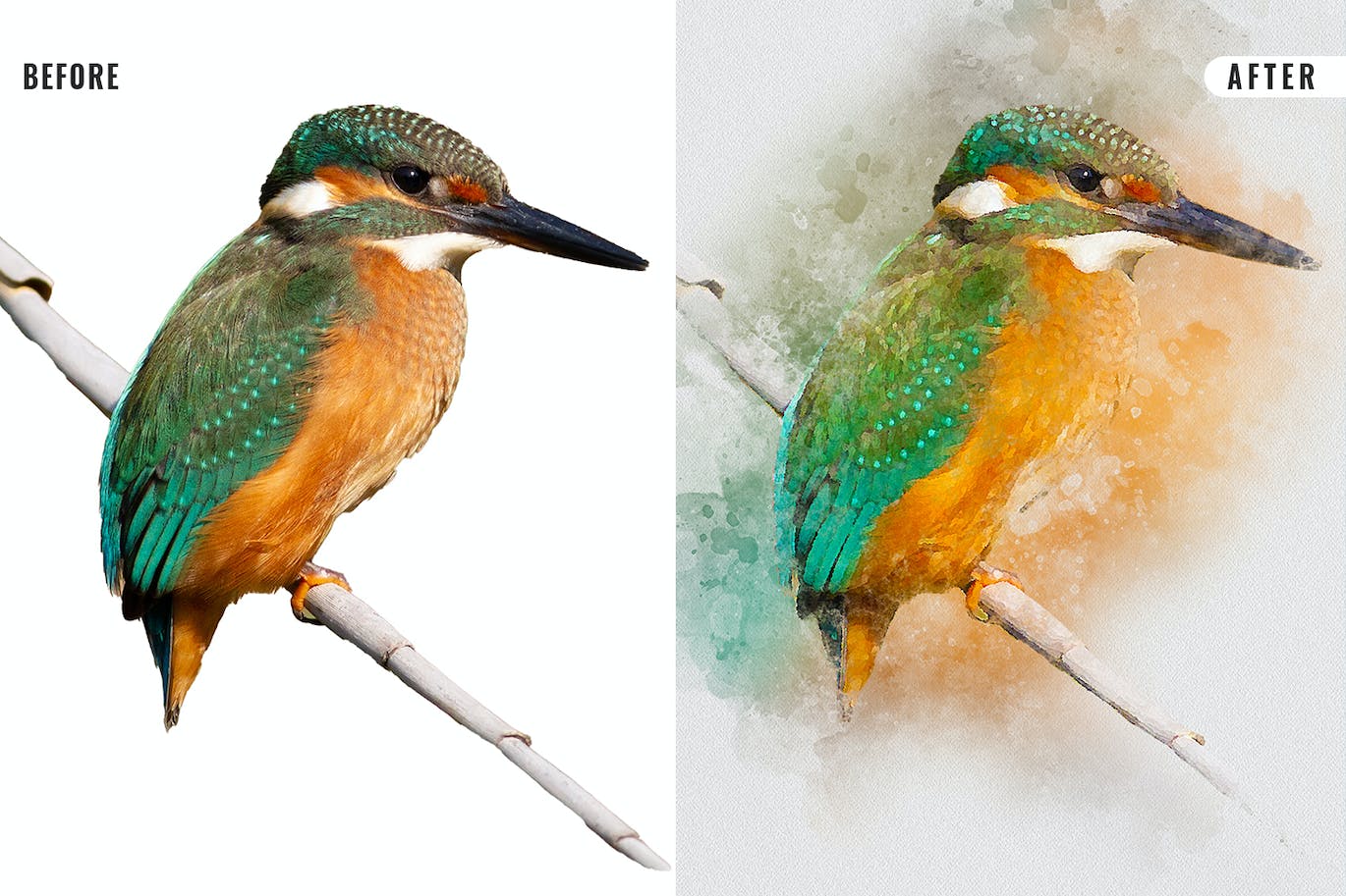 d4d6e63b-9375-45de-b115-abb716f07026