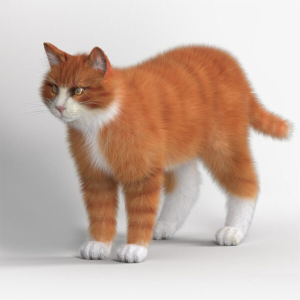 站立的胖猫3D模型（OBJ,FBX,MAX）