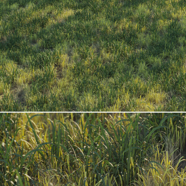 草地3D模型（OBJ,MAX）