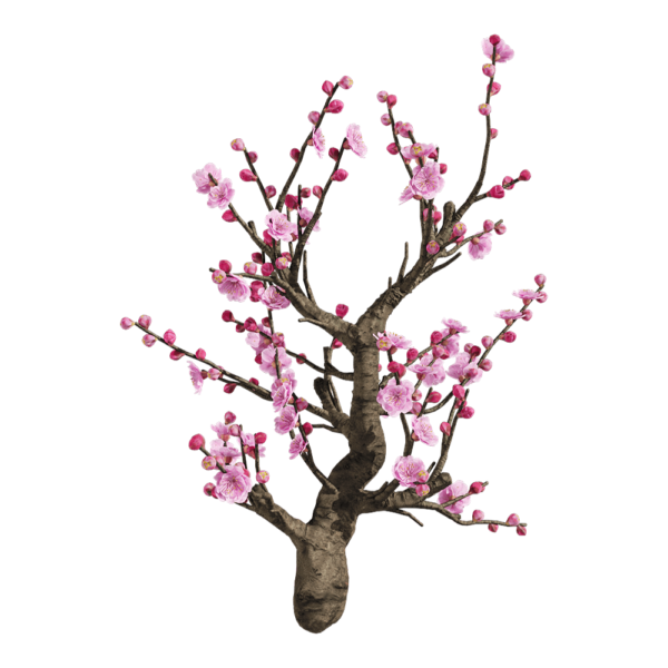 梅花树3D模型（OBJ,FBX,MAX）