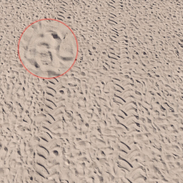 沙滩3D模型（OBJ,FBX,MAX）