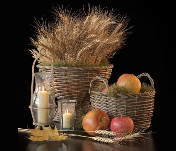 编织篮中的麦子和苹果3D模型（OBJ,MAX）