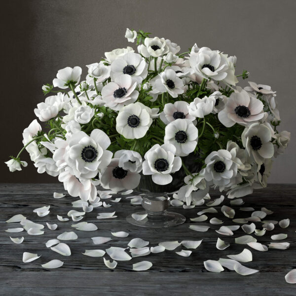 玻璃花瓶中的白色海葵花束 银莲花束3D模型（MAX）