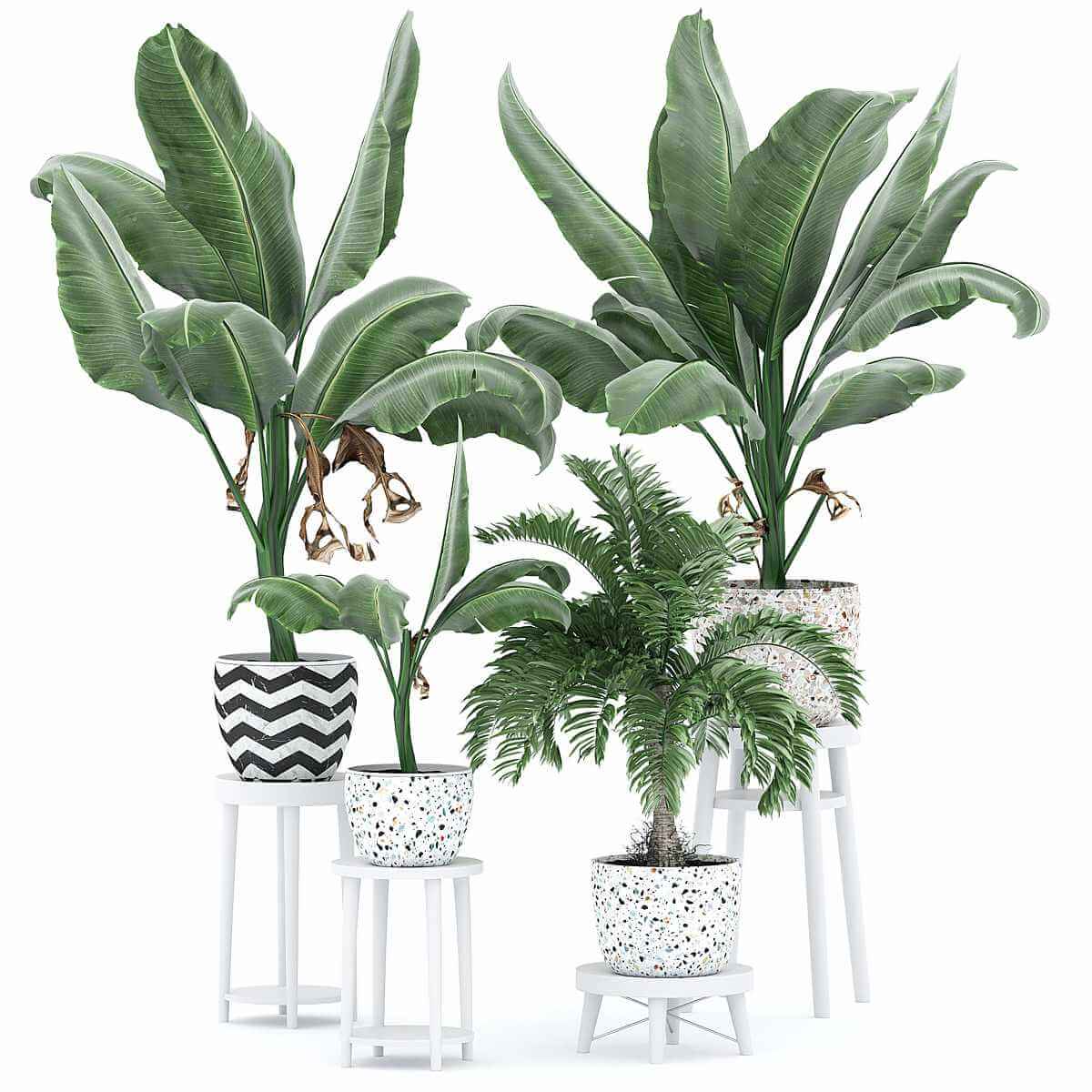 室内绿植盆景组合3D模型(OBJ,MAX) - 云瑞设计