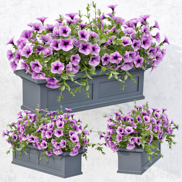 紫色矮牵牛花坛3D模型（OBJ,MAX）