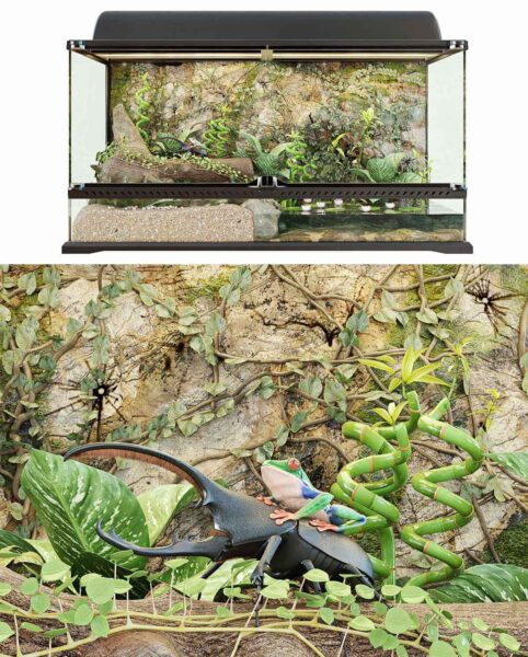 包含绿植 红眼树蛙和甲虫的玻璃缸3D模型（FBX,MAX）