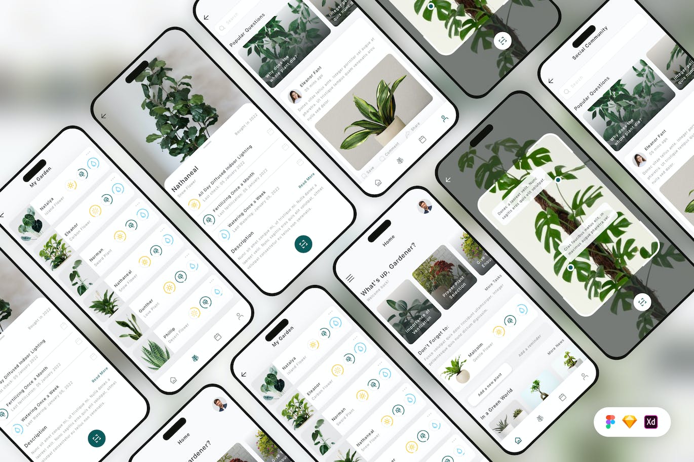 植物护理移动应用App UI Kit (SKETCH,FIG,XD)