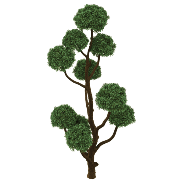 蓝湖柏景观树3D模型（OBJ,FBX,MAX）