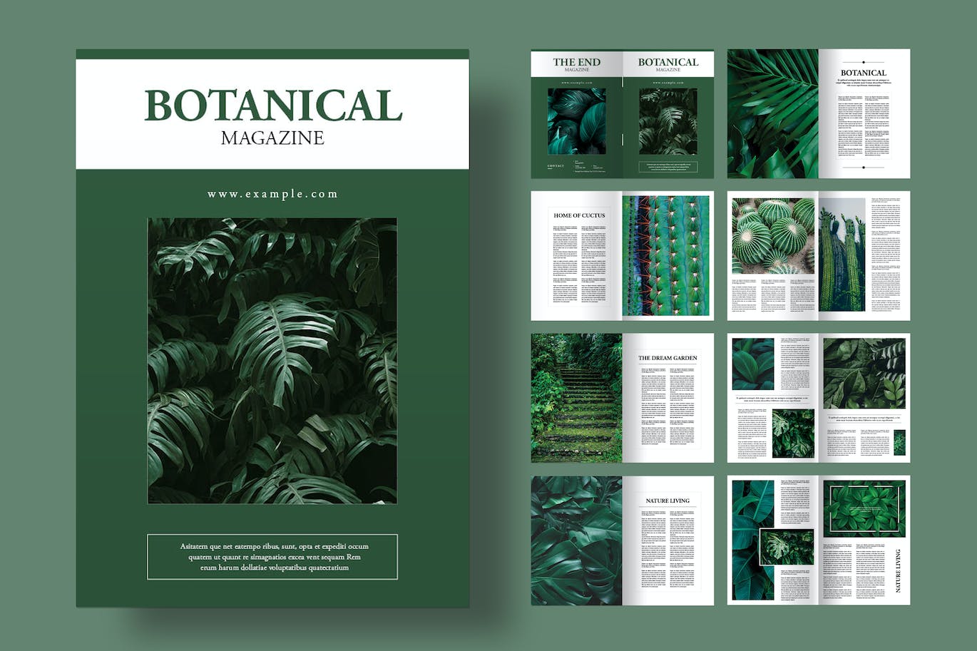 植物杂志画册模版 (INDD)