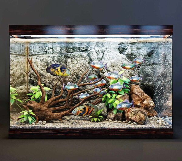 包含地图鱼 绿植 石块的鱼缸 水族箱3D模型（FBX,MAX）