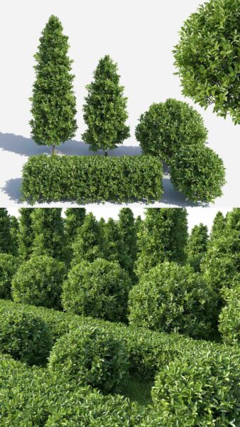 环纹榕组合园林绿植景观3D模型（FBX,MAX）