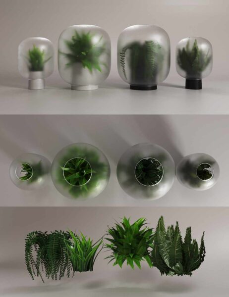 Gejst Nebl玻璃花瓶中的绿植3D模型（FBX,MAX）