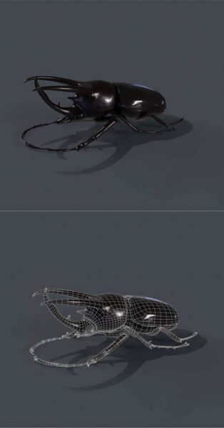 阿特拉斯甲虫（南洋大兜虫）3D模型免费下载（FBX,OBJ,MAX）