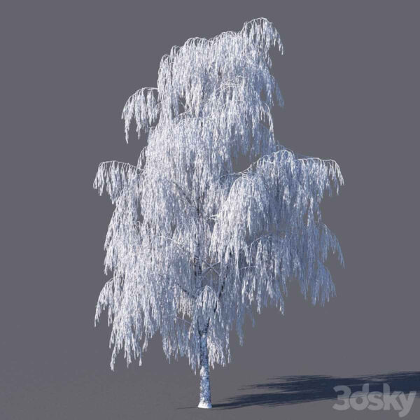 冬天被雪覆盖的桦树3D模型（FBX,MAX）