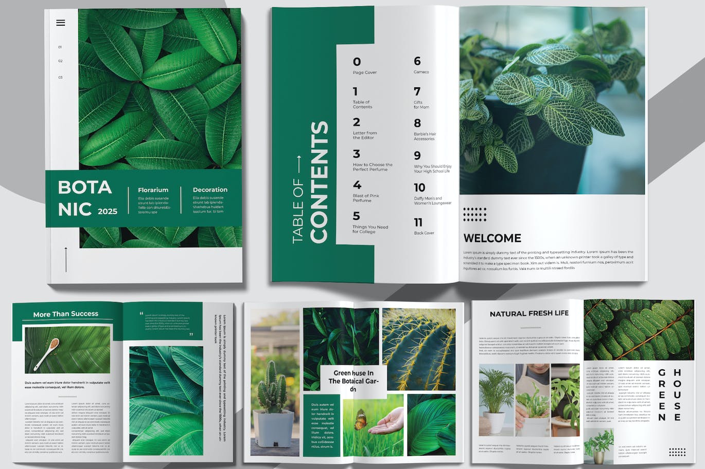 植物杂志设计版式 (INDD)