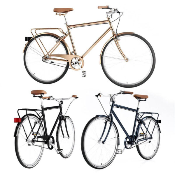 Vintage Roadster男士复古自行车3D模型（OBJ,MAX）
