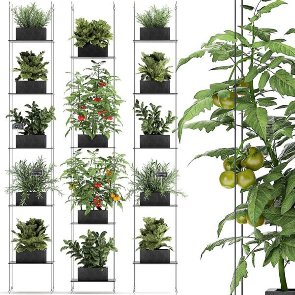 西红柿 生菜 迷迭香 香菜 辣椒等蔬菜盆栽组合3D模型（FBX,MAX）