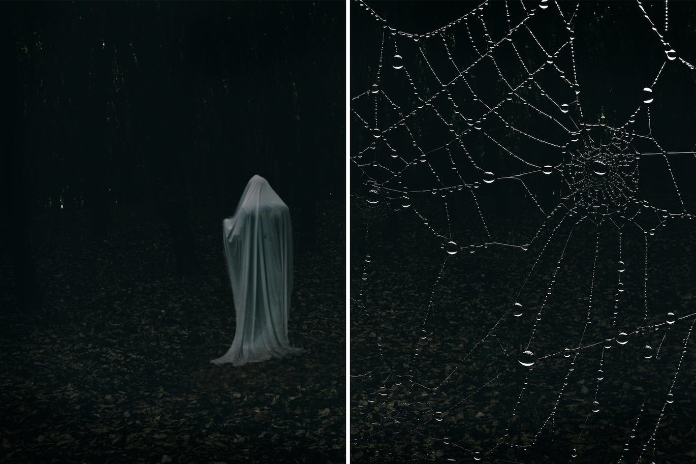 235b5541-9d27-4d82-a3ef-4240982b0ab7