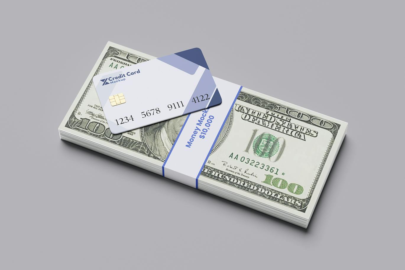 金钱和信用卡样机 (PSD)