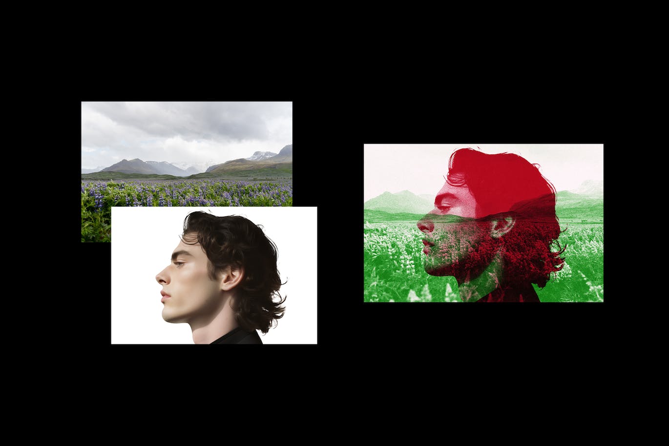 42230a29-597b-4a63-bf57-facef163483a