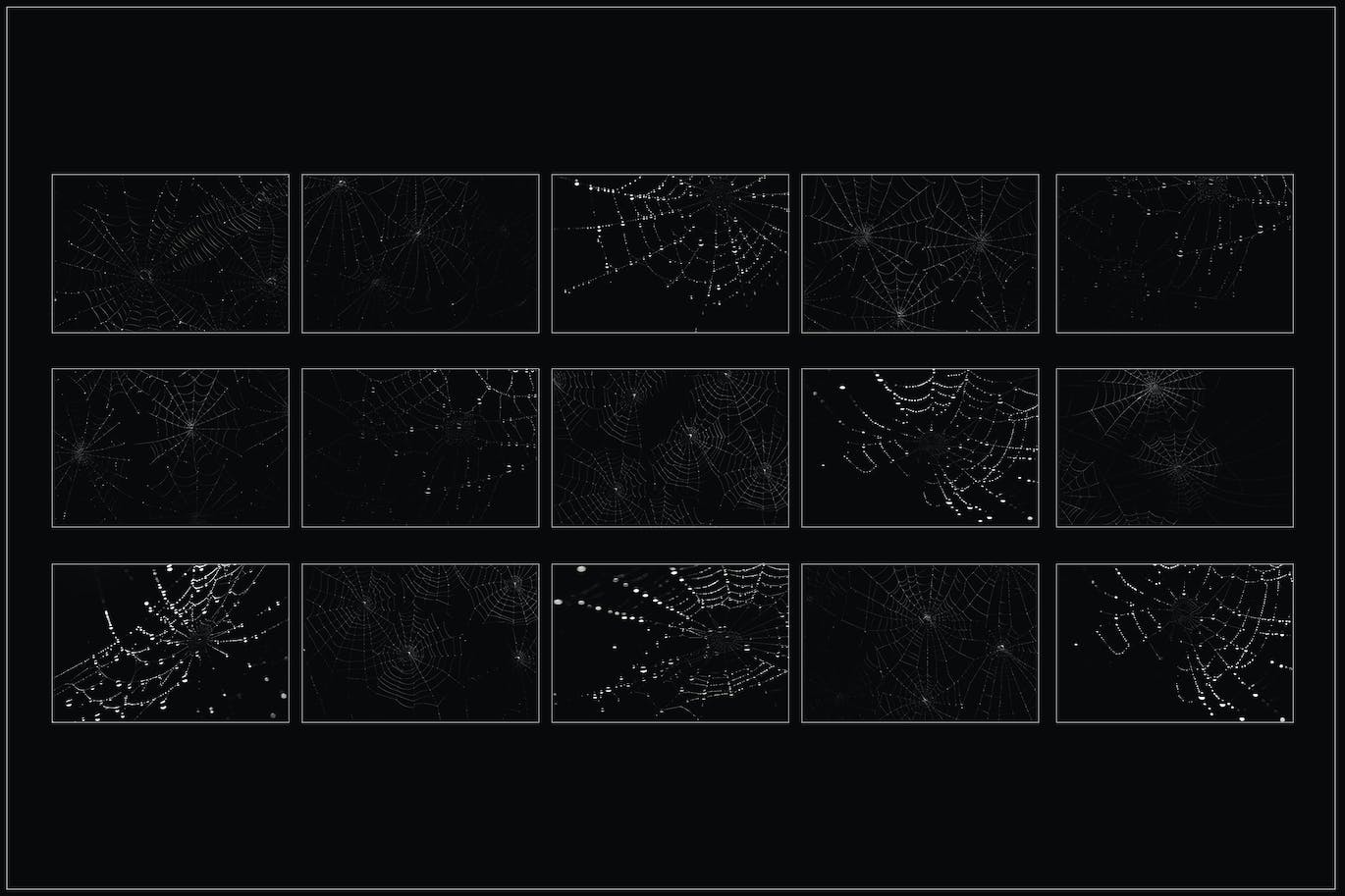 f96e5e64-0103-4562-8a88-d8e2f19955af