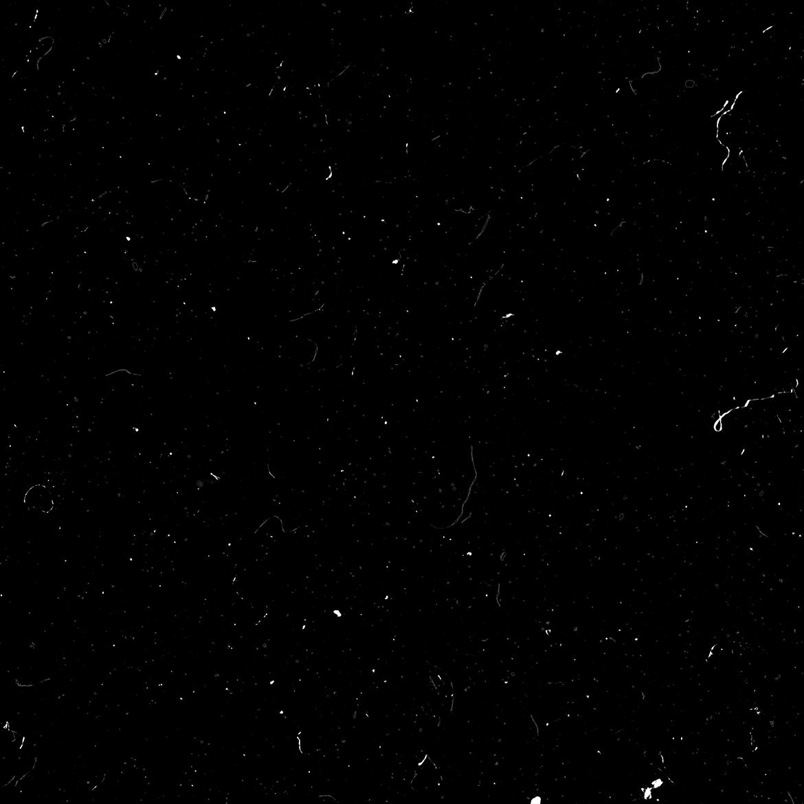 08f8190c-157d-4c9d-80a1-8a4902ec0cf3