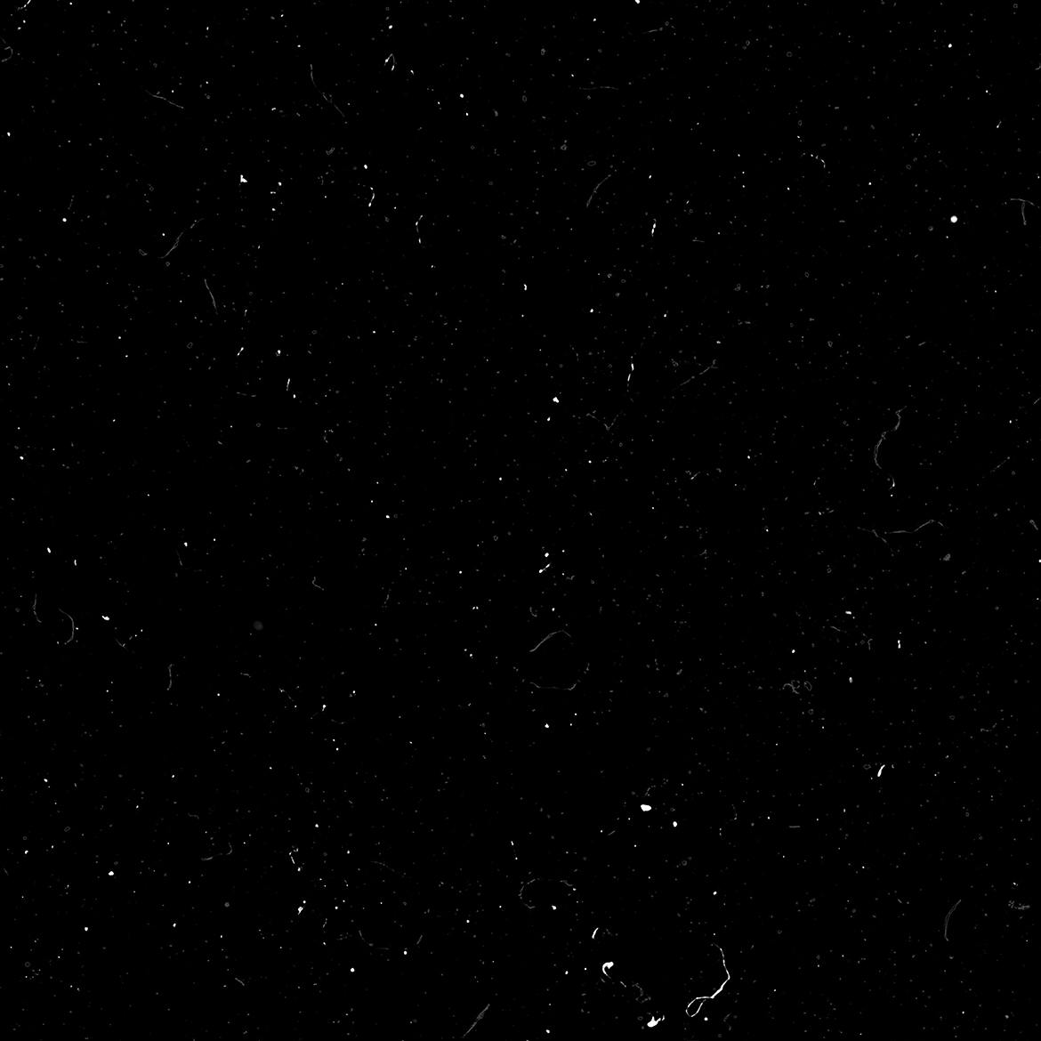 37117e26-403e-4eaa-b9bd-81ef7a2dec6f