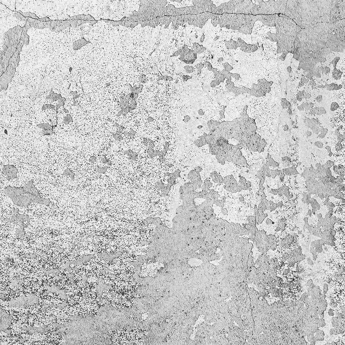 390336f4-0a4f-48a3-99e6-180a3aae2193