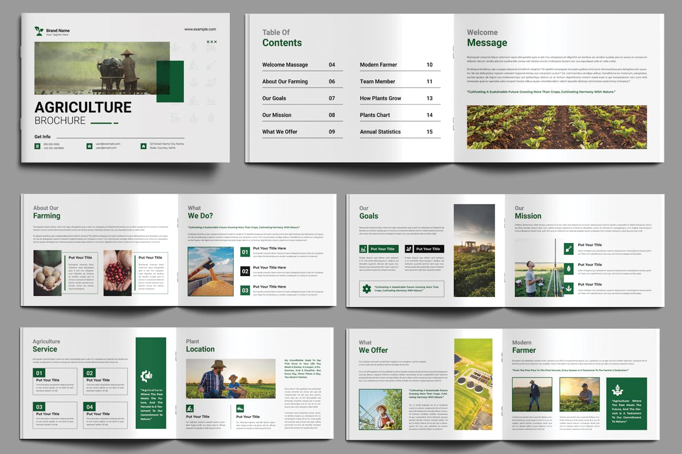 农业宣传册设计布局 (INDD)