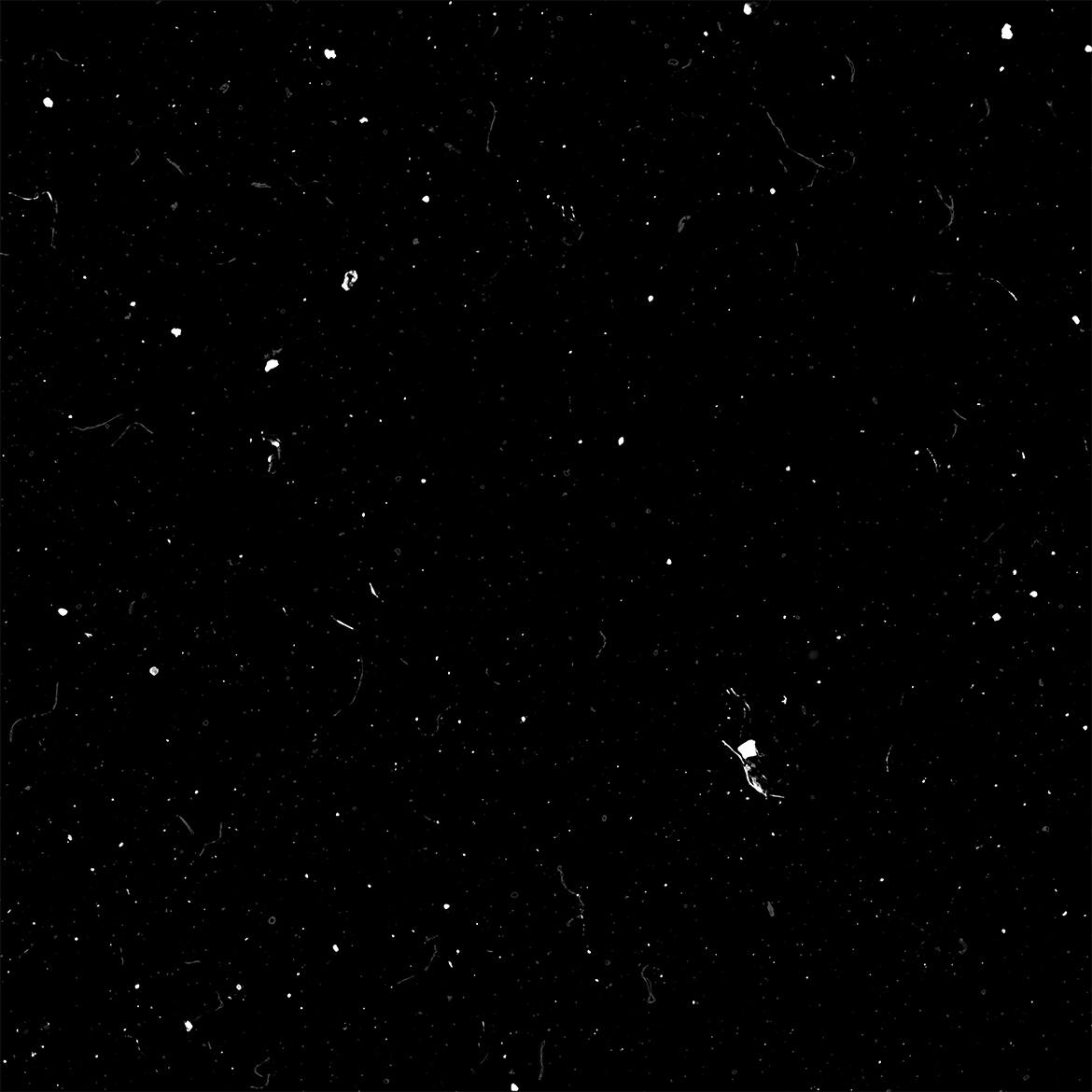 9f51efb0-4b6a-4331-bc01-59e3e1c01209