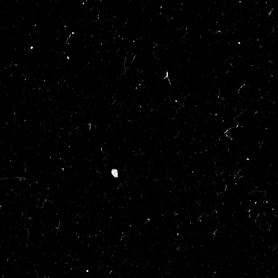 a9e109cc-3271-4232-8fc6-c132417b0e1c