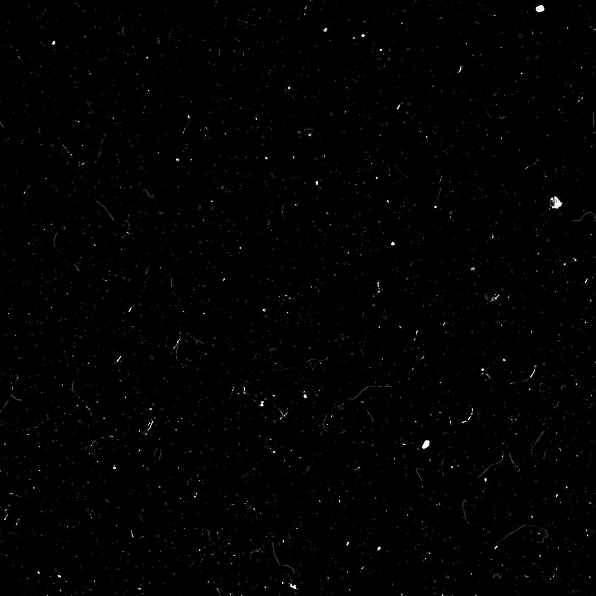 bc8e5fe1-8fa0-4e7c-92ad-d8388f3dc0cc