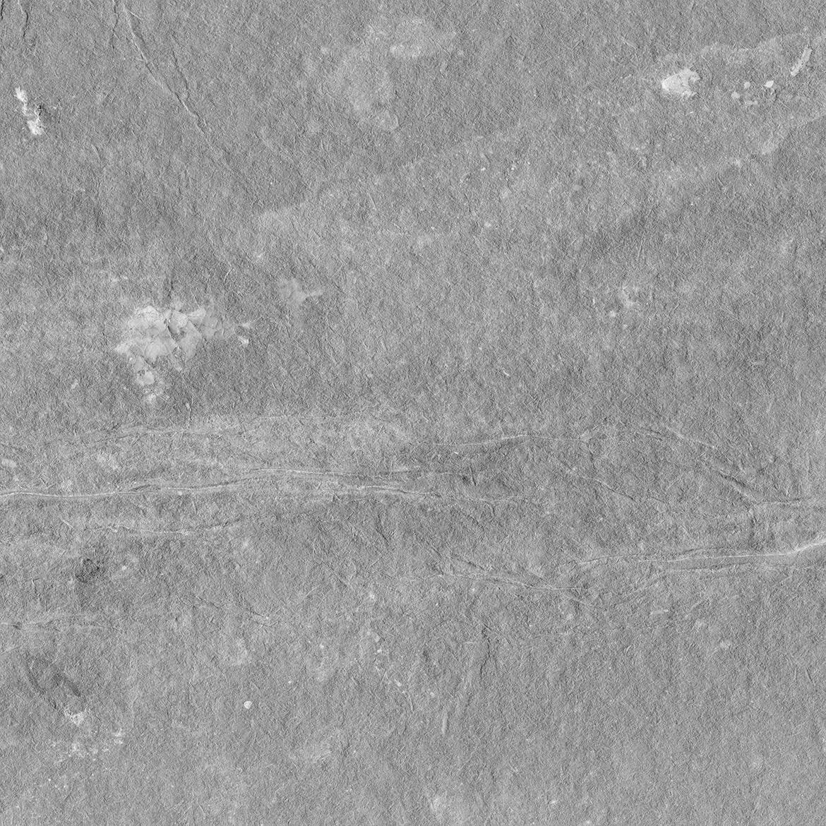 c99f1817-ce8e-4b04-bbbc-4fc5f2f1e0ae