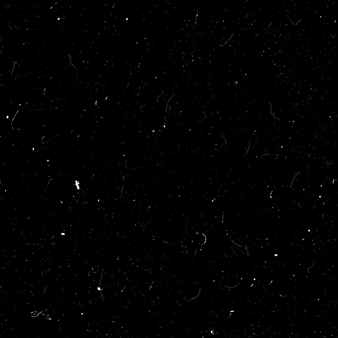 d066d547-6eba-4286-8ff4-d228f4103864