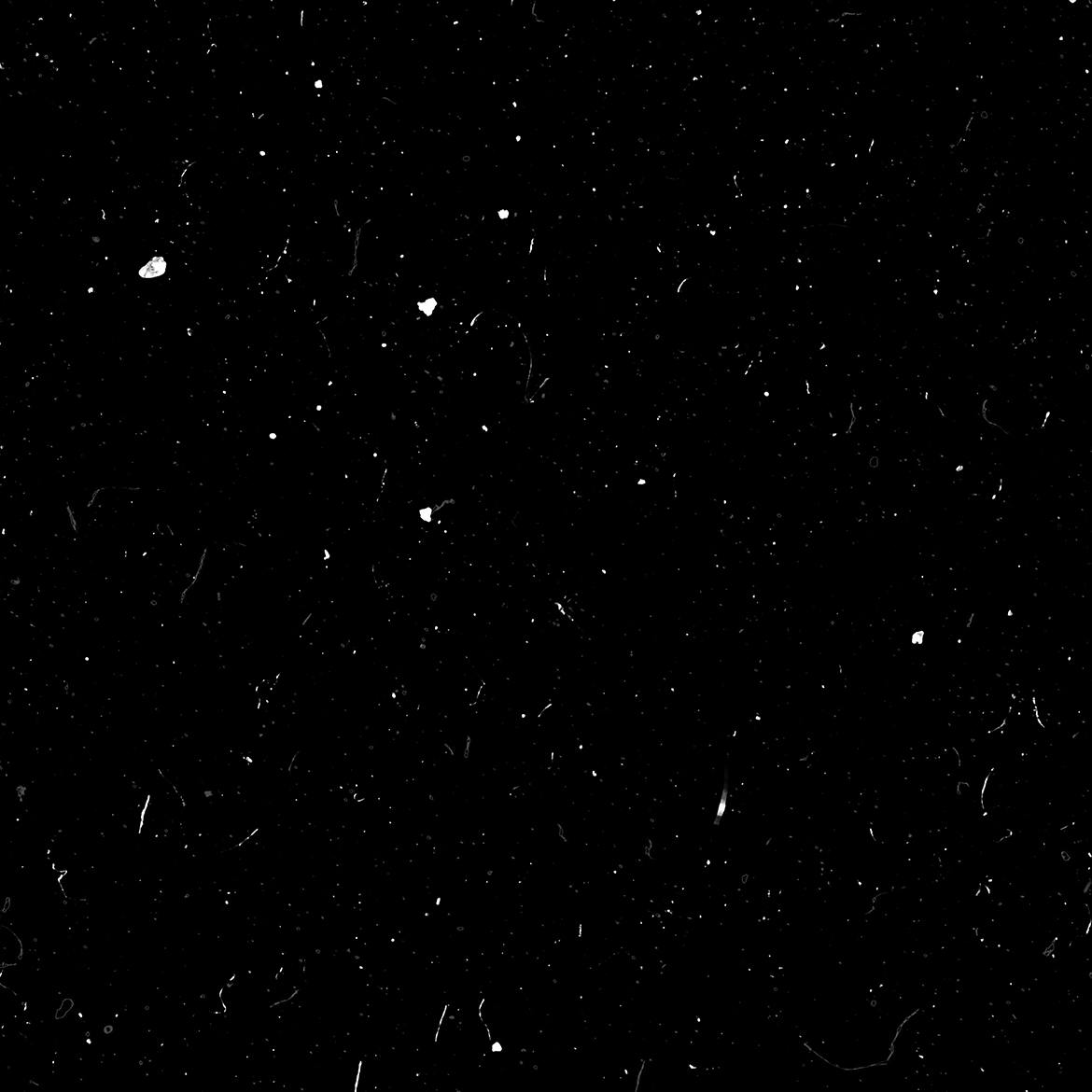 d0a01bdb-3f39-48c3-be8c-774b536ebca5