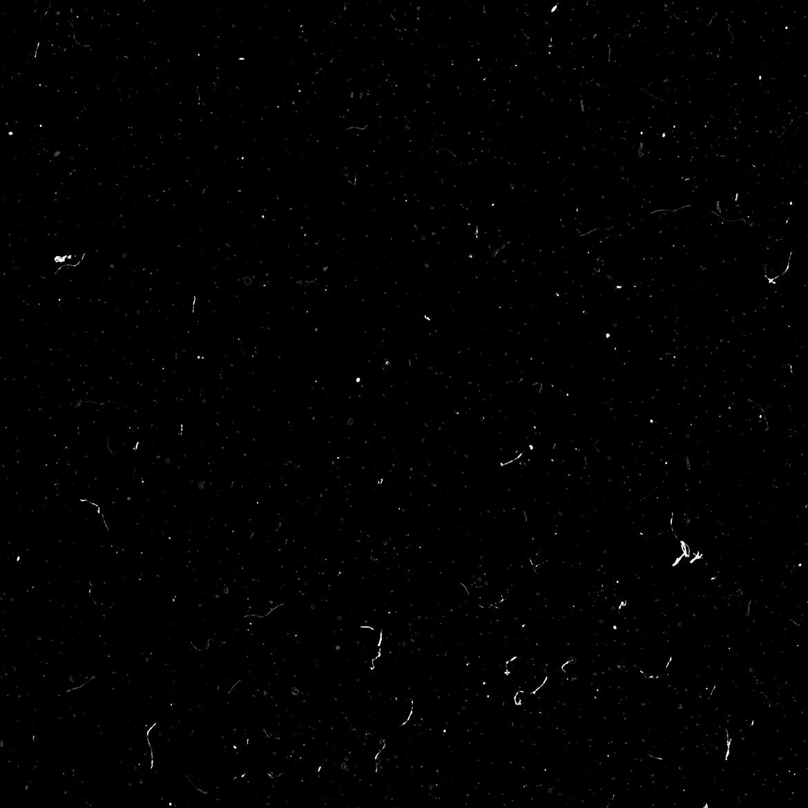 d8261a61-4a86-41d5-8e60-01fc8be757d7