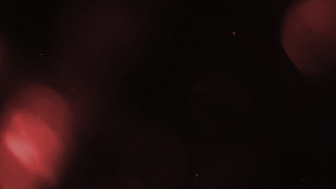 d9f80555-a068-42bc-b7d9-aa341a42890e