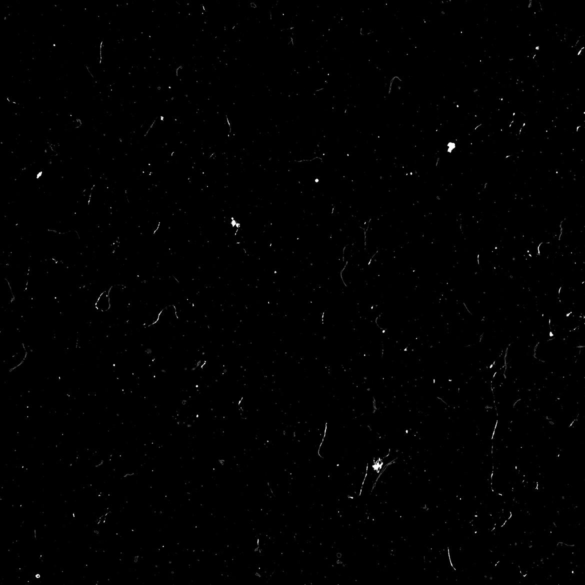 f55408ab-d42c-4775-badc-abebc0fce375