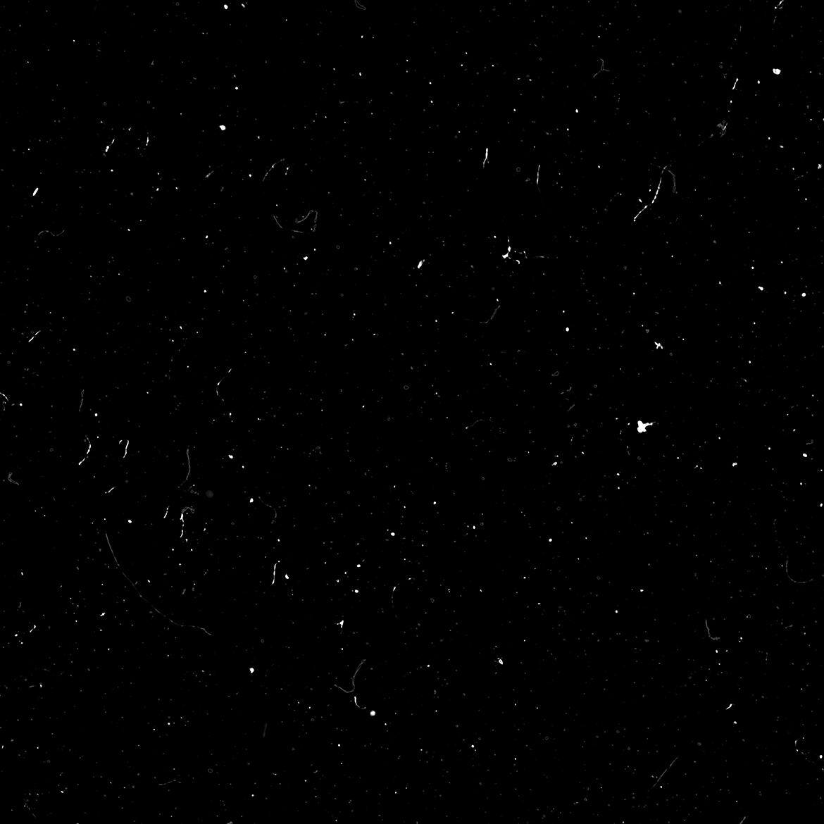 fd5c07c9-b10a-46c0-afef-a75ecacbc95c