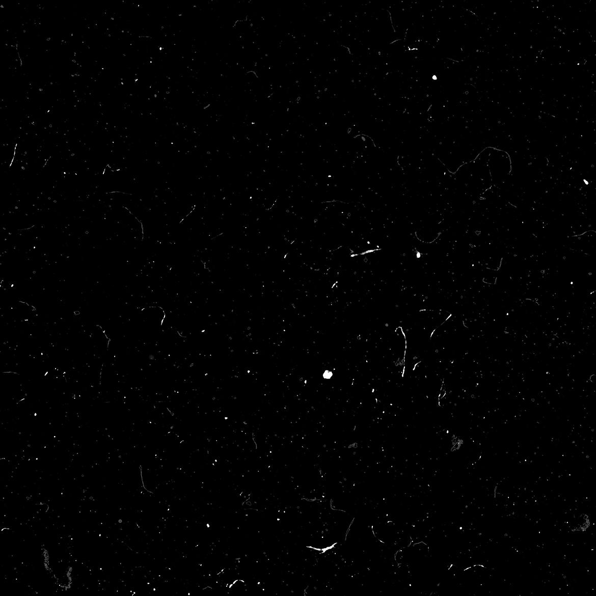 fed85222-4cca-4c06-a038-555c7d4e4fd5