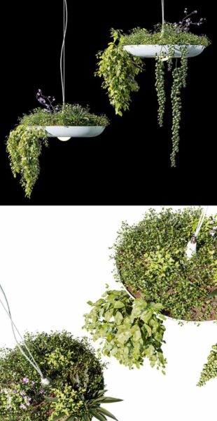 带绿植的吊灯 吊灯绿植盆栽3D模型（OBJ,MAX）