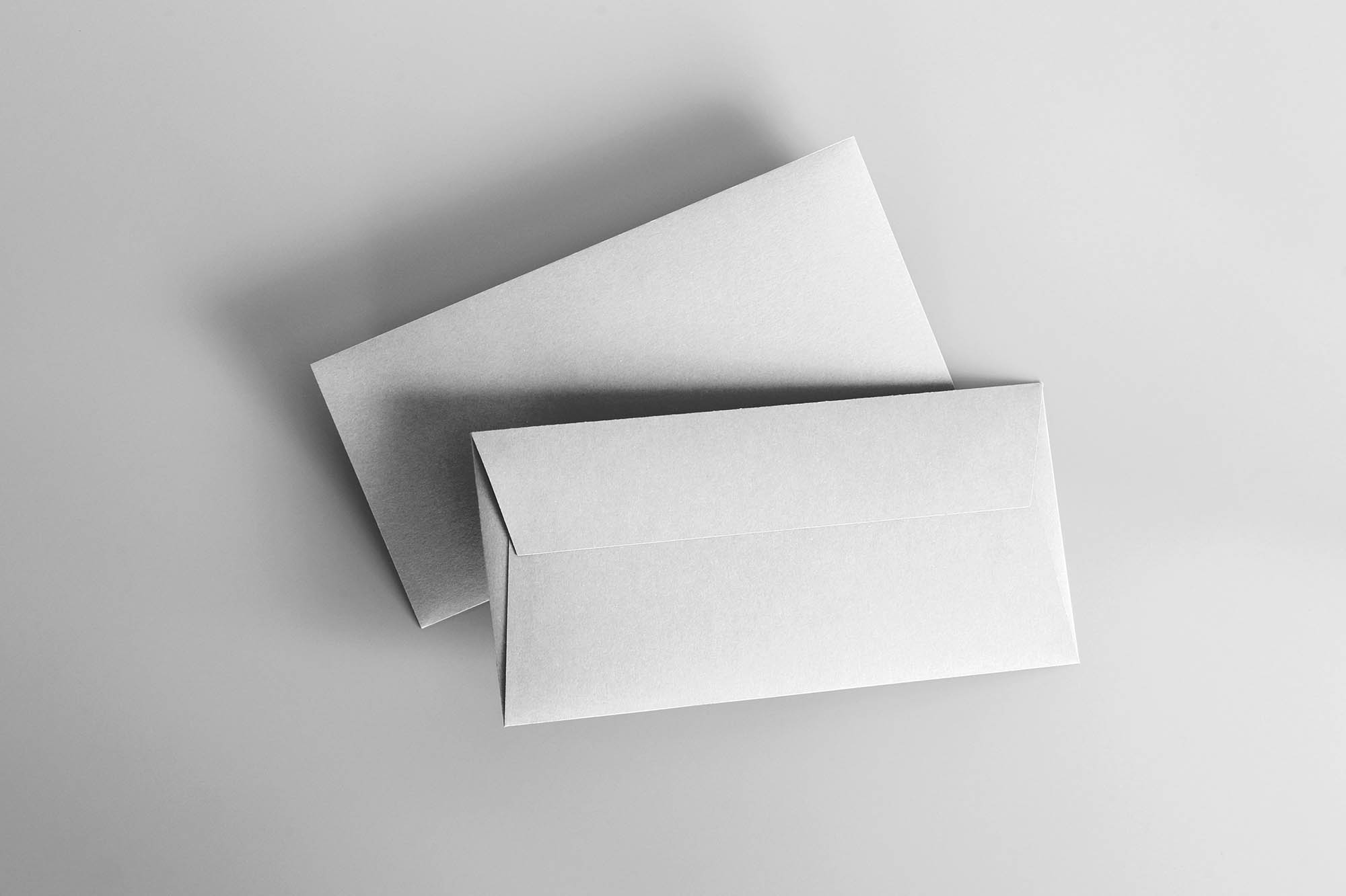 DL-Envelope-Mockup-2